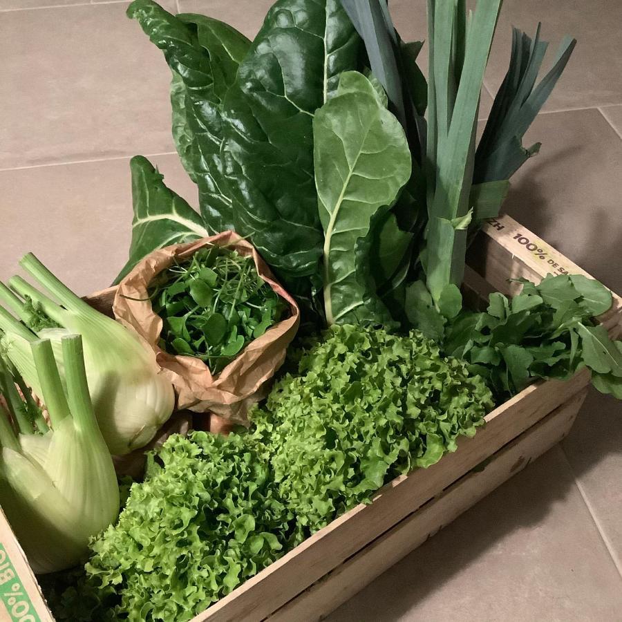 مبيت وإفطار Gramazie Le Grenier Occitan المظهر الخارجي الصورة